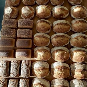 Orchard Bay Bakery Loaves